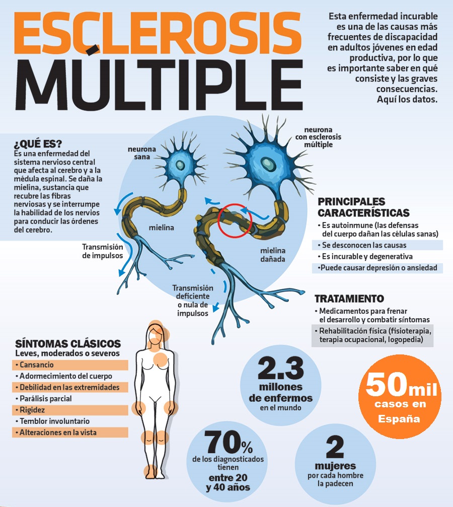  ¿Que es la Esclerosis multiple?  La esclerosis múltiple (EM) es una enfermedad crónica y autoinmune que afecta el sistema nervioso central. En pocas palabras, se caracteriza por la aparición de lesiones o placas inflamatorias en el cerebro y la médula espinal. 
